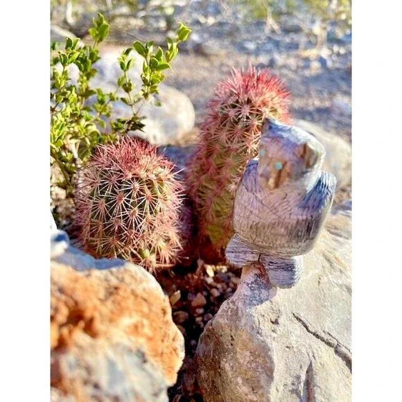 Zuni Standing Bear Fetish 2.5" x 1.25" Marble with Turquoise Eyes Hand Carved - Picture 2 of 8